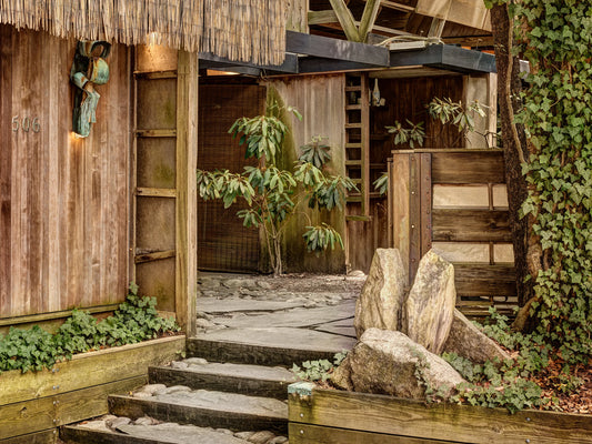 Wood in Design