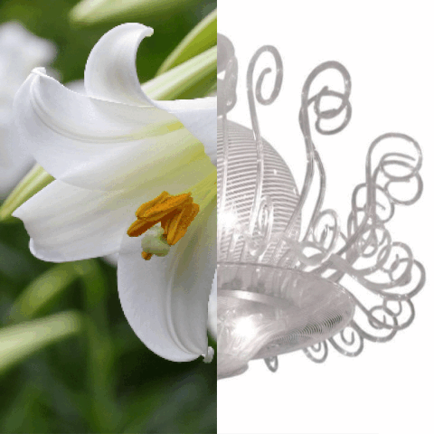 The Blooming Edit