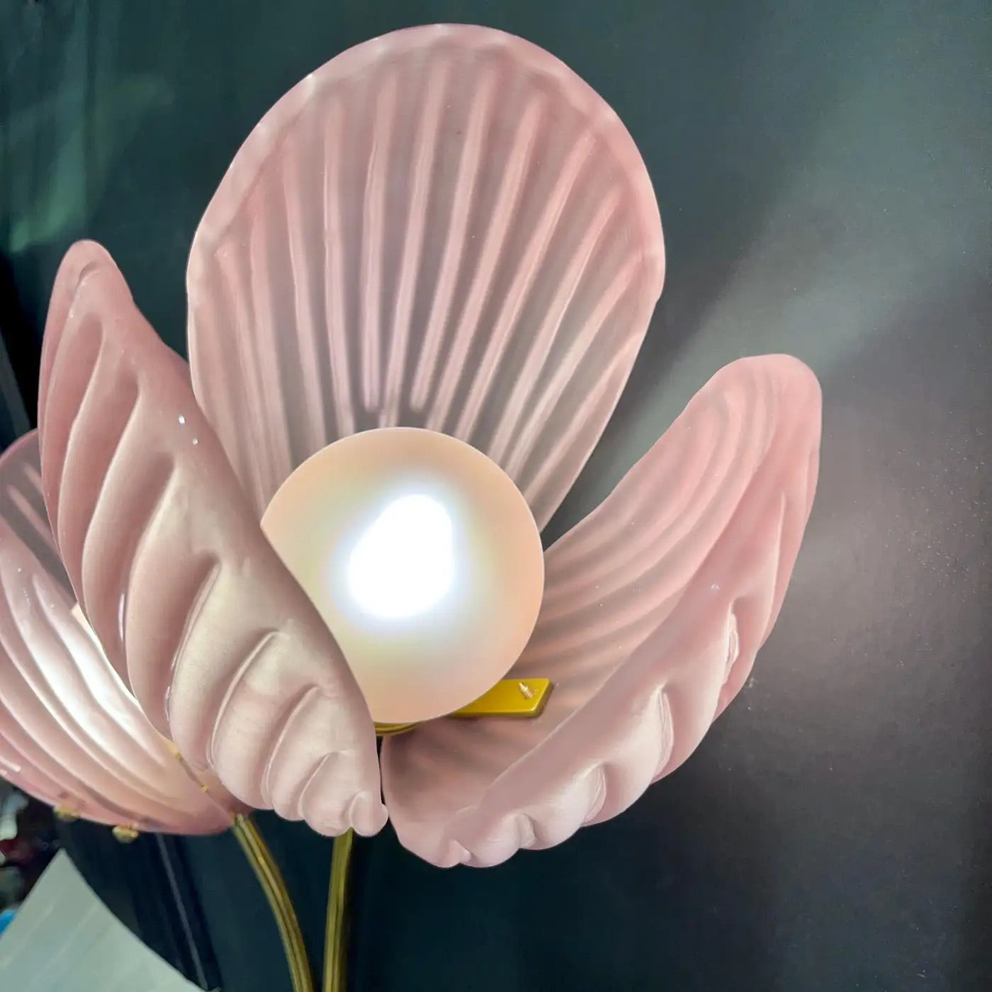 Customizable Italian 2-Branch Pink Murano Glass Tulip Flower Gold Brass Sconces