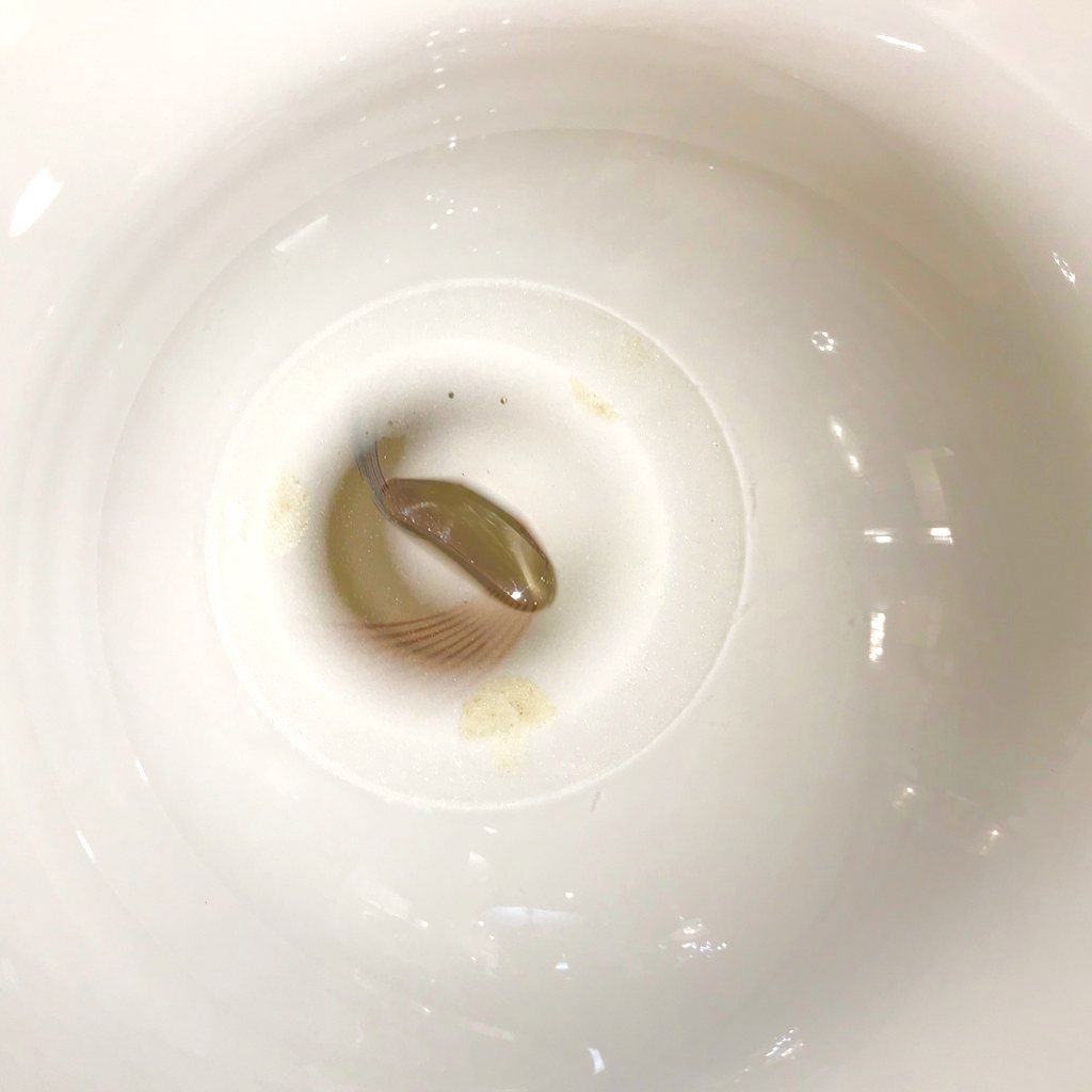 1960s Italian White Murano Glass Extra Large Platter with Orange & Blue Murrine