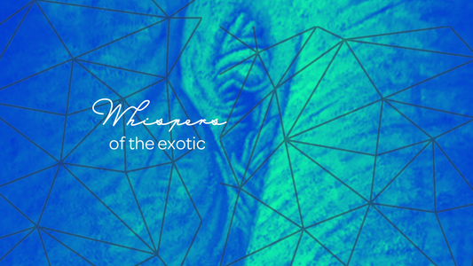 Whispers of the Exotic
