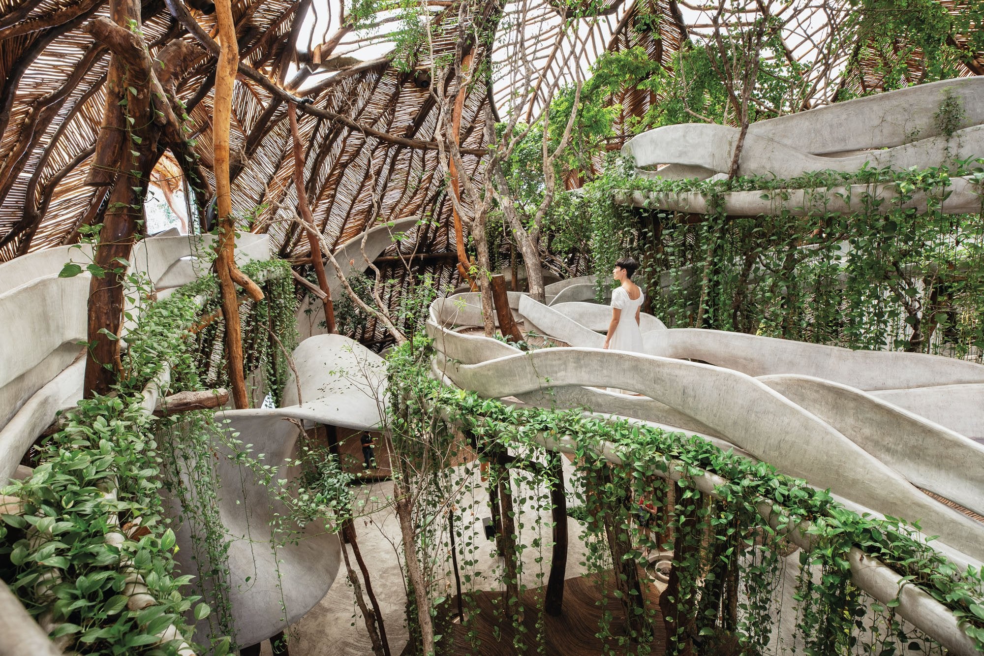 5 Principles Of Effective Biophilic Design Cosulich Interiors Antiques 5 Principles Of Effective Biophilic Design Cosulich Interiors Antiques