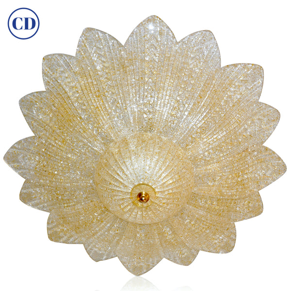 1.1CD_grande.jpg?v=1643650034